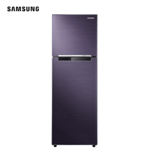 Samsung 2 Door Top Freezer | RT25FARBDUT/TC
