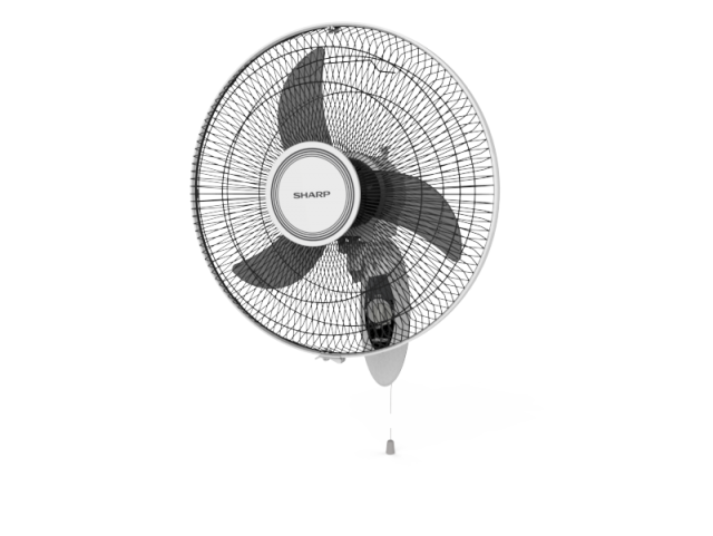 PJ W161MWH