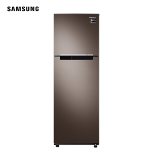 Samsung 2 Door Top Freezer | RT25M4033DX/TC