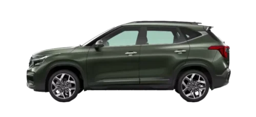 pewter olive-converted-from-png